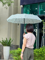 Ô gấp gọn tự động hai chiều 10 nan Kaiyo, hoạ tiết lá colorful leaf ( lá nhỏ )