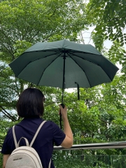 Ô gấp gọn tự động hai chiều 10 nan Kaiyo, màu xanh rêu