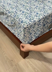 Bộ ga cottton trần bông kèm 2 vỏ gối Kawa size 1,8-2m - mẫu lá xanh