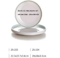 ĐĨA 25-233/25-234