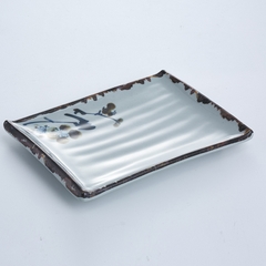 Đĩa SC1002