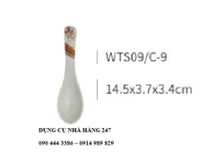 Thìa WTS09