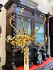 Cây mắc áo lành & đẹp