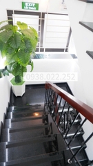 SANG NHƯỢNG PHÒNG KHÁM PHẪU THUẬT THẨM MỸ Q10