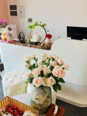 SANG NHƯỢNG SPA FULL SETUP KHU LAKE VIEW Q2