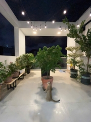 CHO THUÊ NHÀ NGUYÊN CĂN PHÚ NHUẬN – PHÙ HỢP MỞ SPA DƯỠNG SINH / VĂN PHÒNG