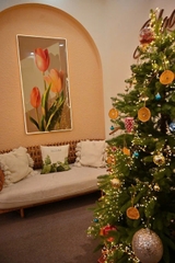 SANG NHƯỢNG SPA TRUNG TÂM Q1