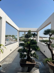 SIÊU PHẨM CHO THUÊ NHÀ TRUNG TÂM QUẬN 5