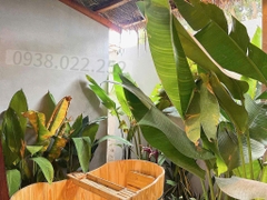 SANG SPA THÀNH PHỐ BUÔN MA THUỘT - ĐAKLAK