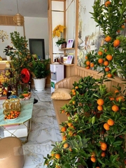 SANG NHƯỢNG SPA DƯỠNG SINH CAO CẤP - TRUNG TÂM THỦ ĐỨC