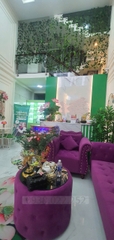 SANG NHƯỢNG HỌC VIỆN ĐÀO TẠO THẨM MỸ BÌNH TÂN