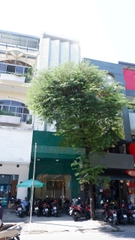 CHUYỂN ĐỊA ĐIỂM - SANG NHƯỢNG CƠ SỞ THẨM MỸ QUẬN 10