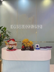 SANG SPA FULL NỘI THẤT CAO CẤP - CHỈ 350 TRIỆU