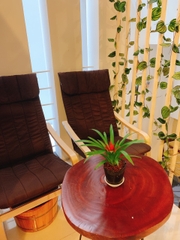 CẦN SANG GẤP SPA MẶT TIỀN [TÂN PHÚ] ĐƯỜNG 2 CHIỀU KHU ĐÔNG DÂN CƯ CHỈ 290 TRIỆU BAO CỌC