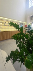 SANG NHƯỢNG SPA MẶT TIỀN ĐẸP QUẬN 01 [HCM] CHỈ 900 TRIỆU BAO CỌC