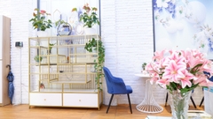 SANG NHƯỢNG PHÒNG KHÁM DA LIỄU MẶT TIỀN [QUẬN 03] CHỈ VỚI 1TỶ BAO CỌC CÓ THƯƠNG LƯỢNG