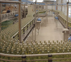 Hệ thống băng tải xích nhựa đa linh hoạt