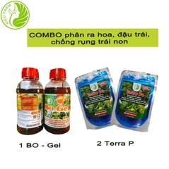 Combo phân bón giúp ra hoa đồng loạt - Đậu trái và chống rụng trái non