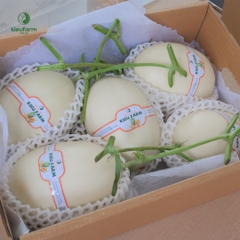 [GIFT BOX] DƯA LÊ BẠCH NGỌC