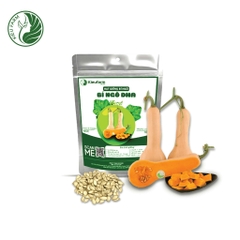 Hạt giống bí DHA - KIEUFARM- 1 hạt