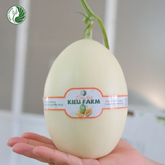 Dưa lê Bạch Ngọc