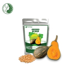 Hạt giống Bí Ngô Kieufarm- 1 hạt