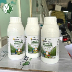 Phân bón hữu cơ Canxi Bo