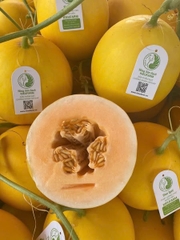 Hạt giống dưa lê Hồng Ngọc Kieufarm