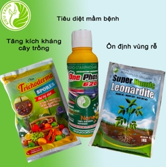 Combo phân tăng kích kháng cây trồng giúp tiêu diệt mầm bệnh và ổn định vùng rễ