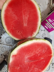 Dưa Hấu Không Hạt Kieufarm