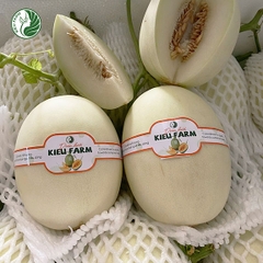 Dưa lê Bạch Ngọc