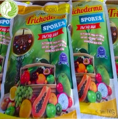 Giải Pháp Ủ Phân Hữu Cơ Tại Nhà - Combo Trichoderma và Mật Rỉ Đường