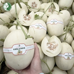Dưa lê Bạch Ngọc
