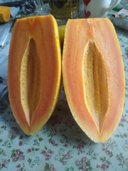 Đu đủ giống Nhật Kieufarm - 1kg