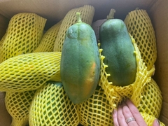 Đu đủ giống Nhật Kieufarm - 1kg