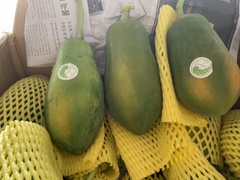 Đu đủ giống Nhật Kieufarm - 1kg