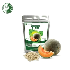 Hạt giống dưa lưới T-One - 1 hạt
