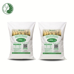 Combo Phân bón tổng hợp AB Hami 88