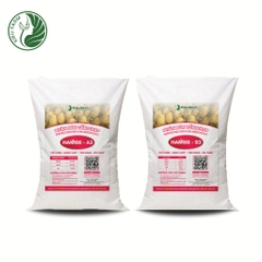 Combo Phân bón tổng hợp AB Hami 88