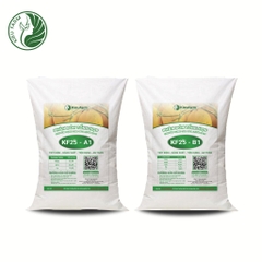Combo Phân bón tổng hợp AB KF25