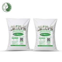 Combo Phân bón tổng hợp AB Dưa lê Bạch Ngọc 26