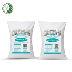 Combo Phân bón tổng hợp AB Dưa lê Bạch Ngọc 26