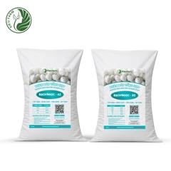 Combo Phân bón tổng hợp AB Dưa lê Bạch Ngọc