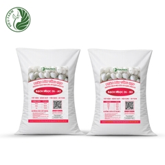 Combo Phân bón tổng hợp AB Dưa lê Bạch Ngọc 26