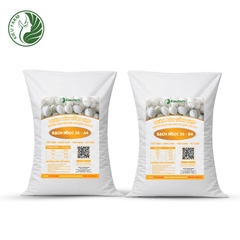 Combo Phân bón tổng hợp AB Dưa lê Bạch Ngọc 26