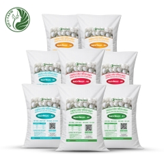 Combo Phân bón tổng hợp AB Dưa lê Bạch Ngọc