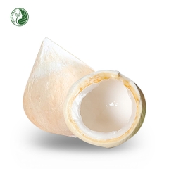 DỪA XIÊM TRỌC KIEUFARM