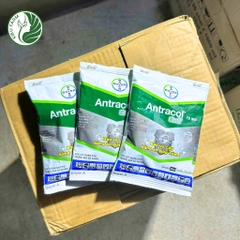Thuốc trừ bệnh Antracol_KIEUFARM
