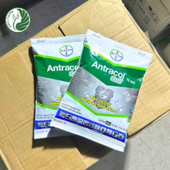 Thuốc trừ bệnh Antracol_KIEUFARM