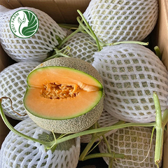 Dưa Lưới TL3 Kieufarm